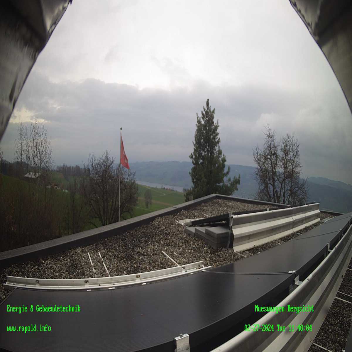 Root webcam