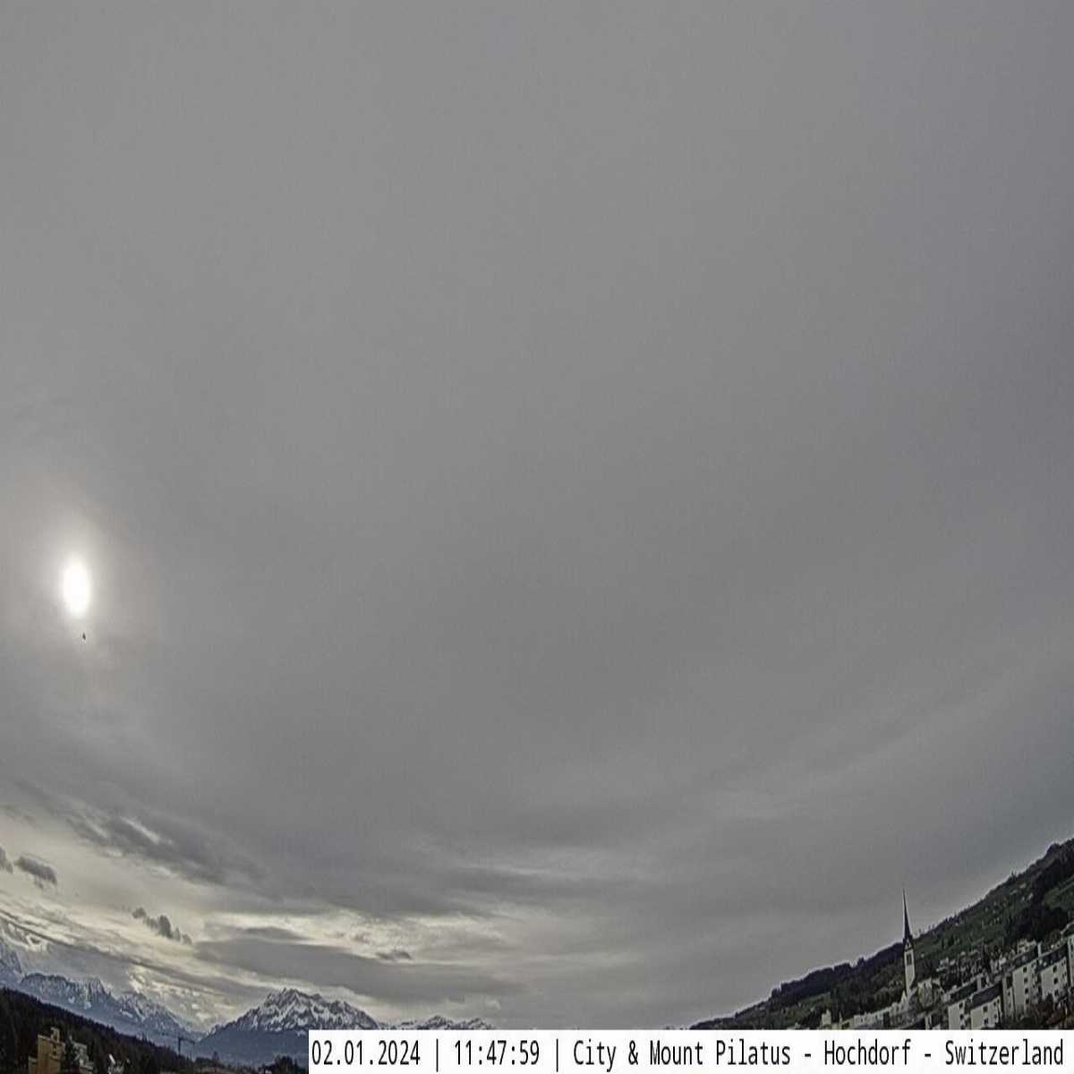 Root webcam