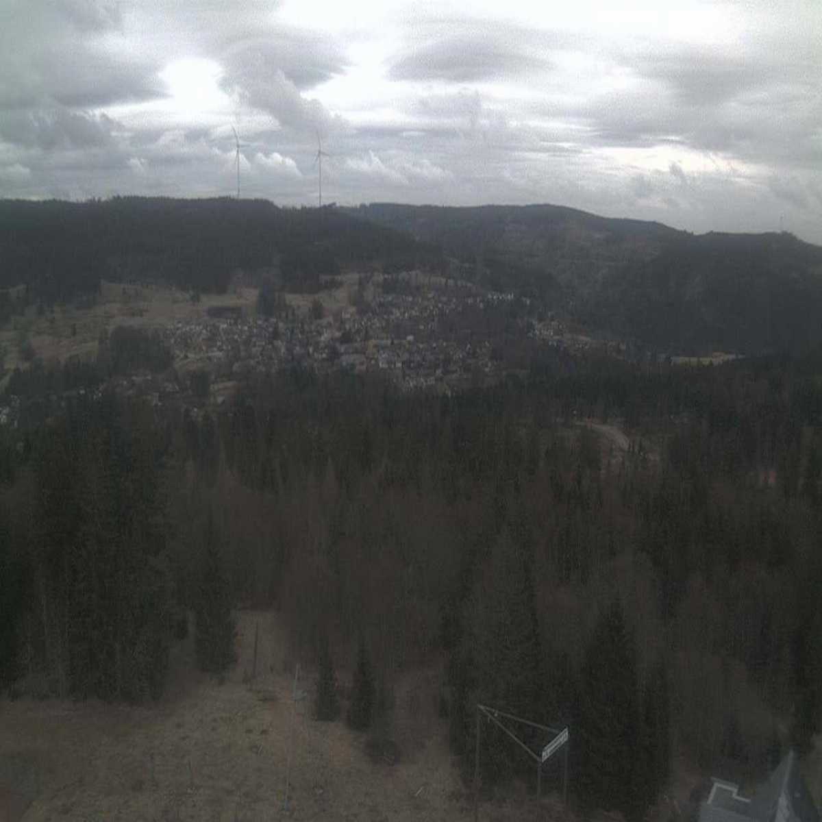 Schallstadt webcam