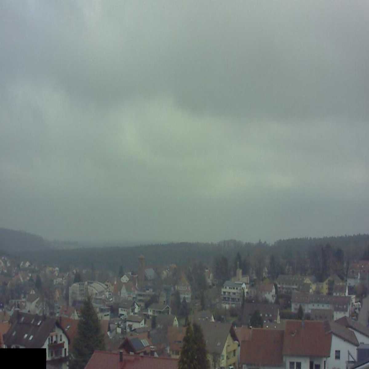 Schallstadt webcam