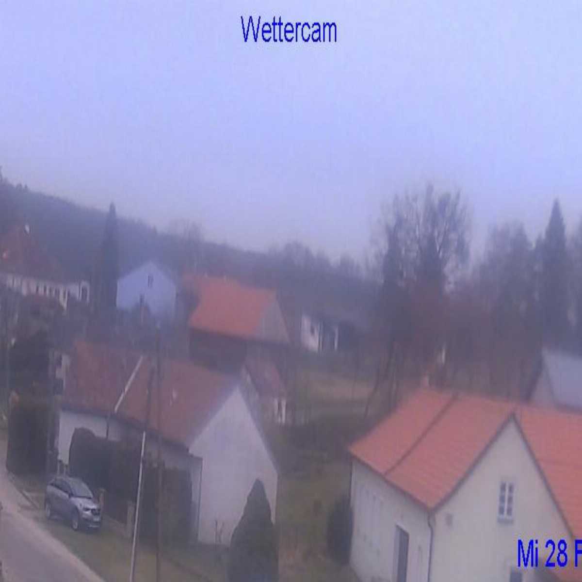 Ertl webcam