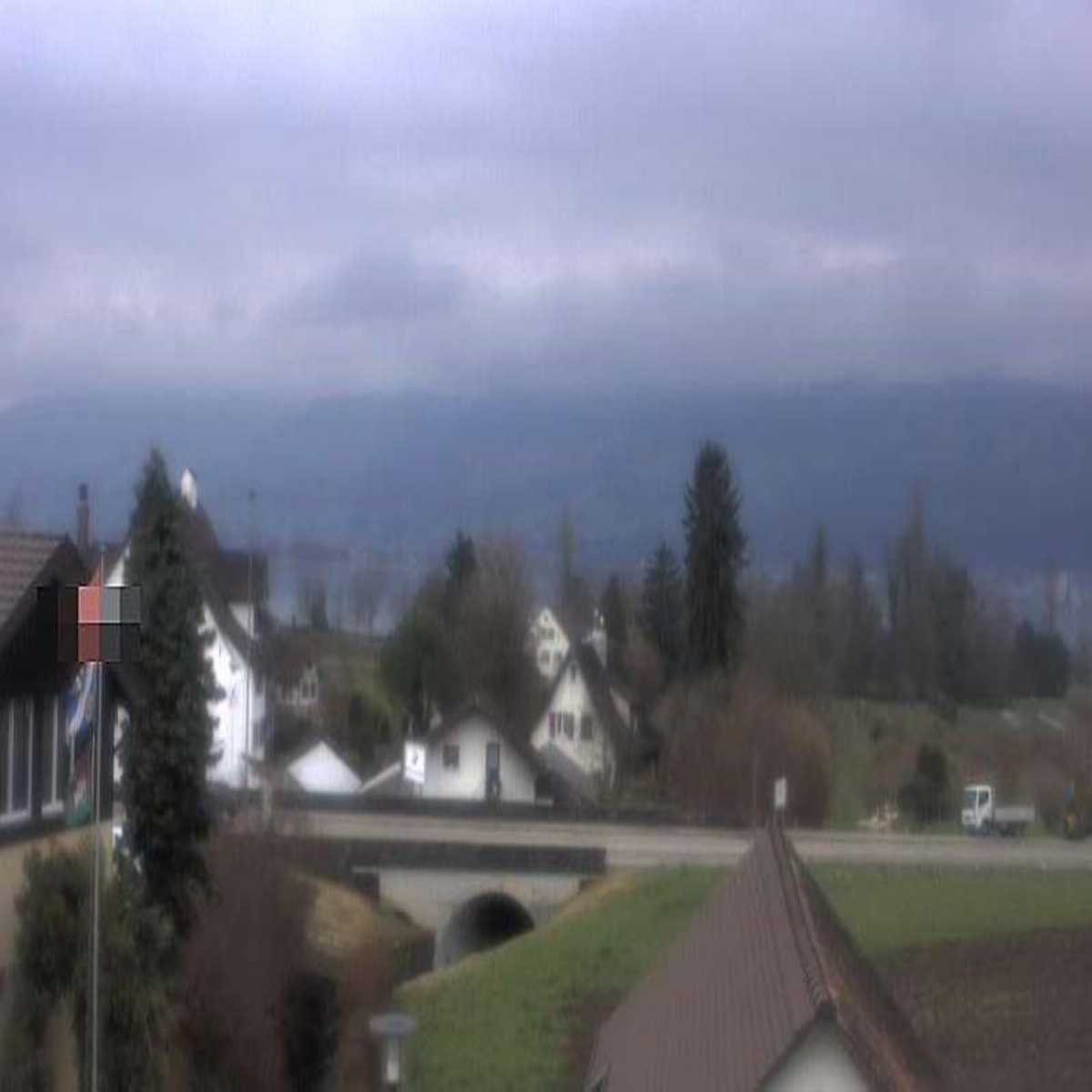 Richterswil webcam