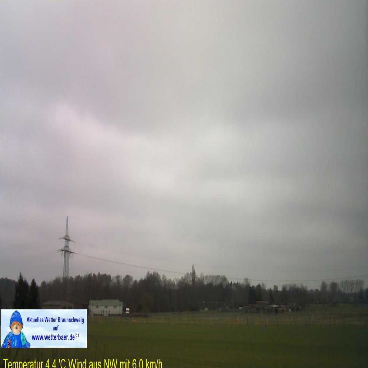 Reppenstedt webcam