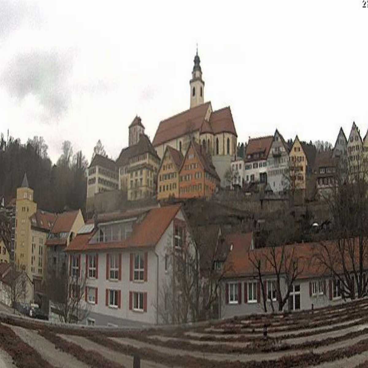 Schallstadt webcam