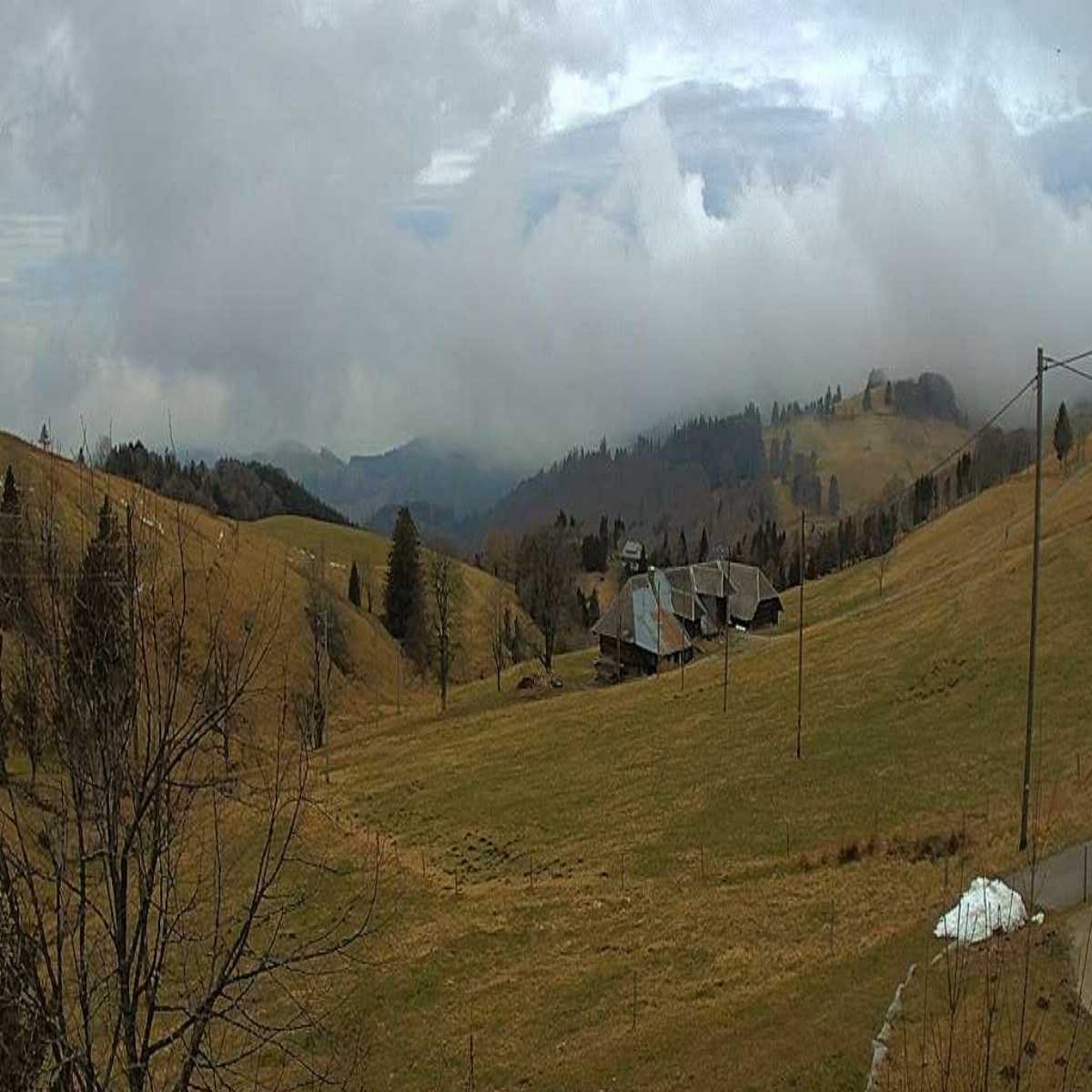 Schallstadt webcam