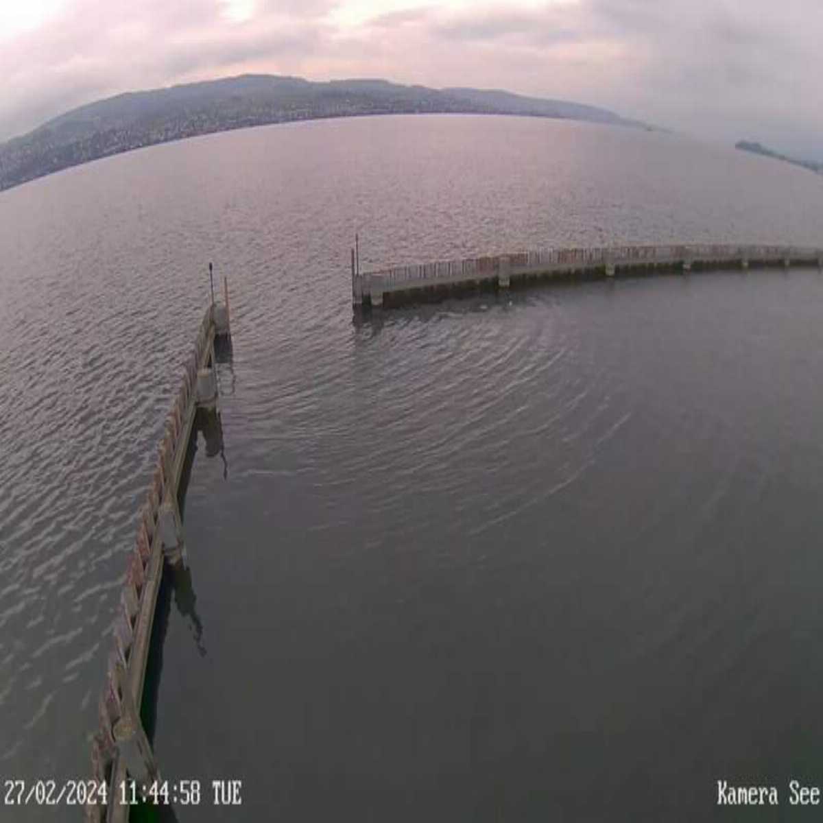 Richterswil webcam