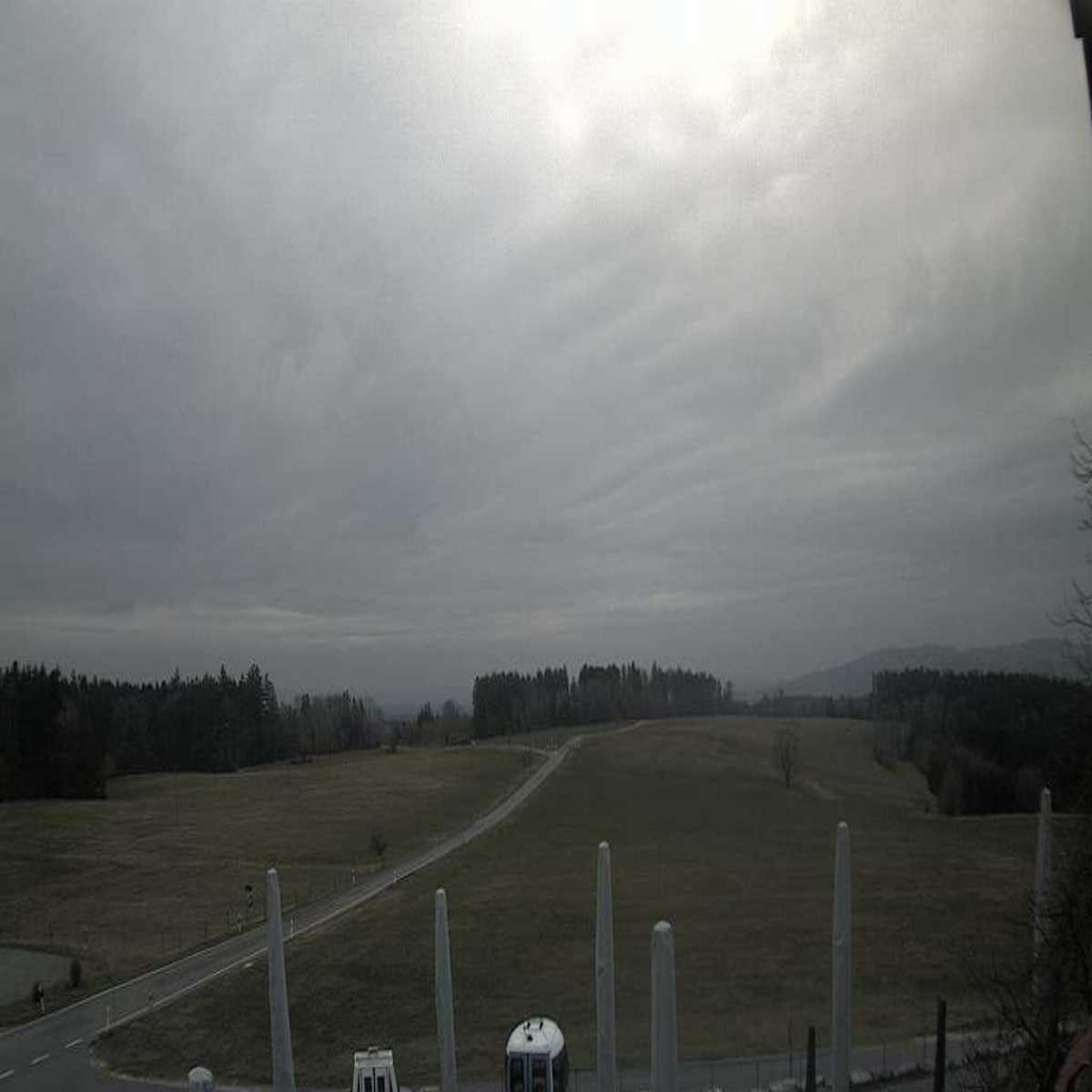 Schallstadt webcam