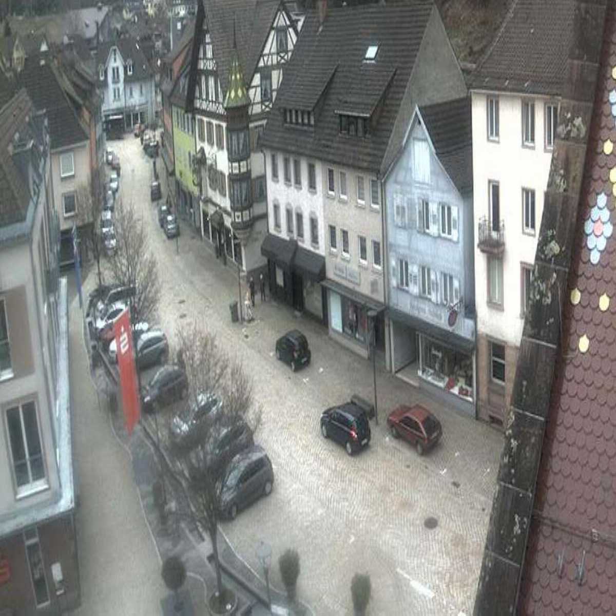 Schallstadt webcam
