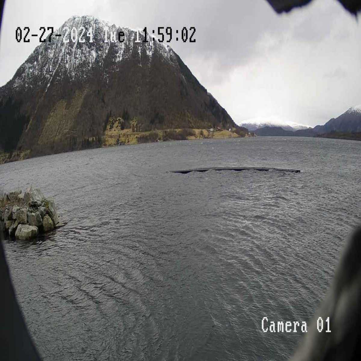 Eidsa webcam