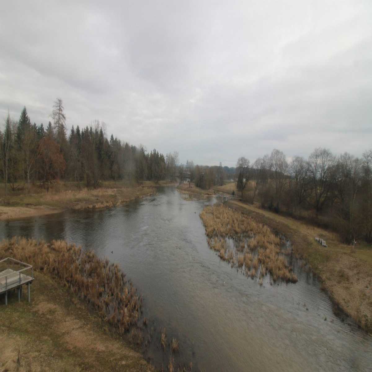 Schallstadt webcam
