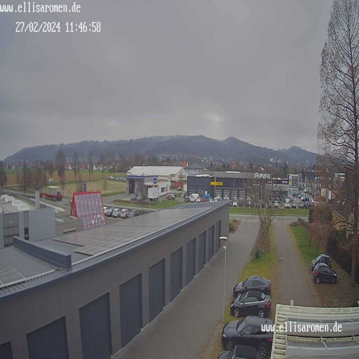 Riesenbeck webcam