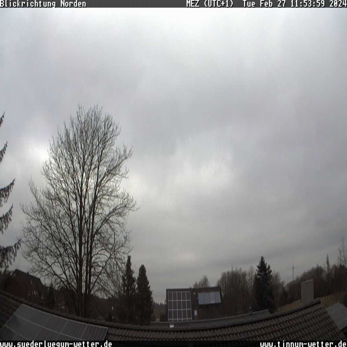 Reinbek webcam