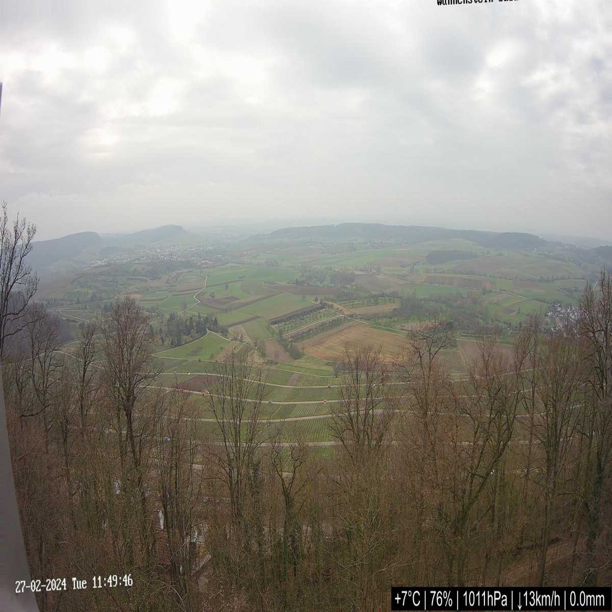Schallstadt webcam