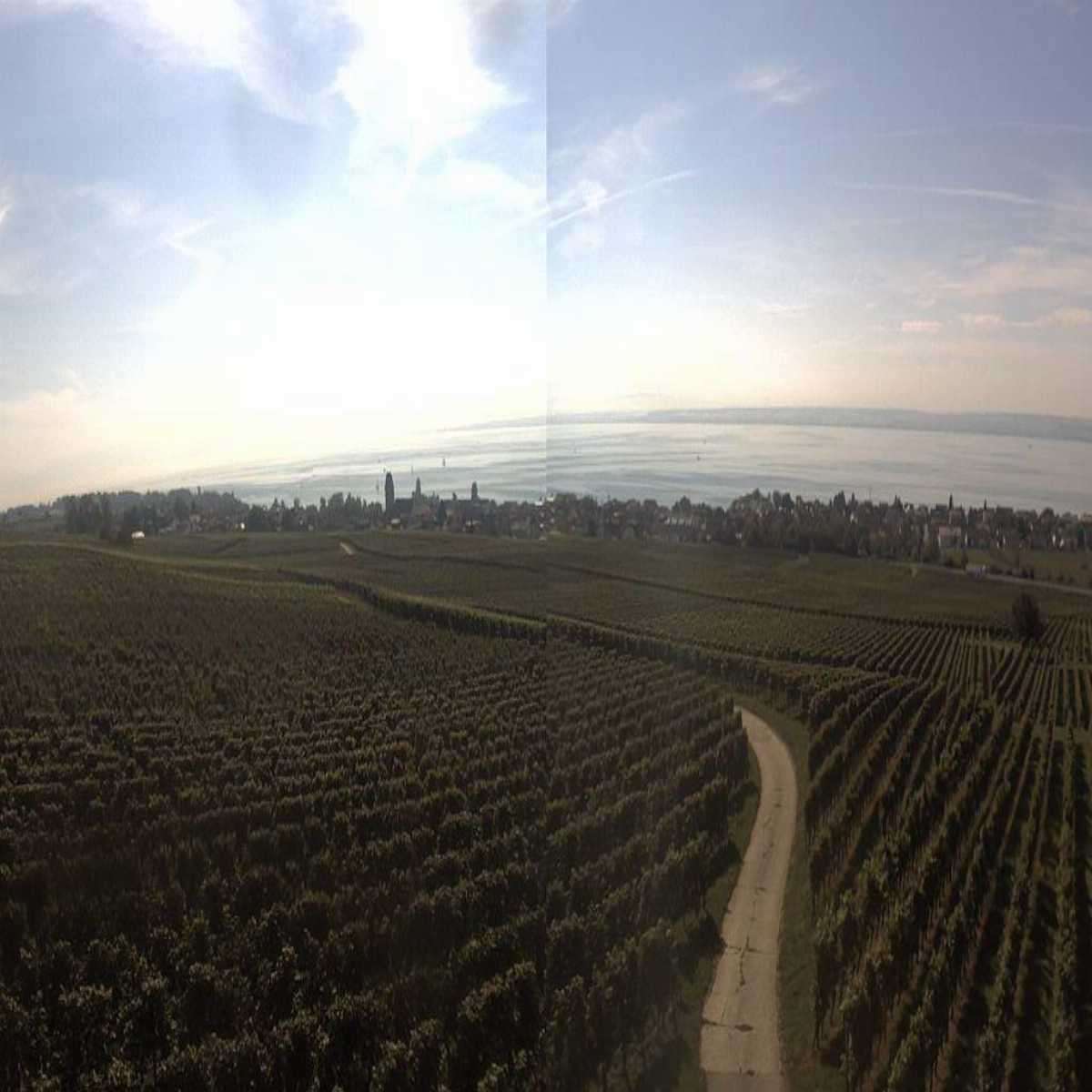 Schallstadt webcam
