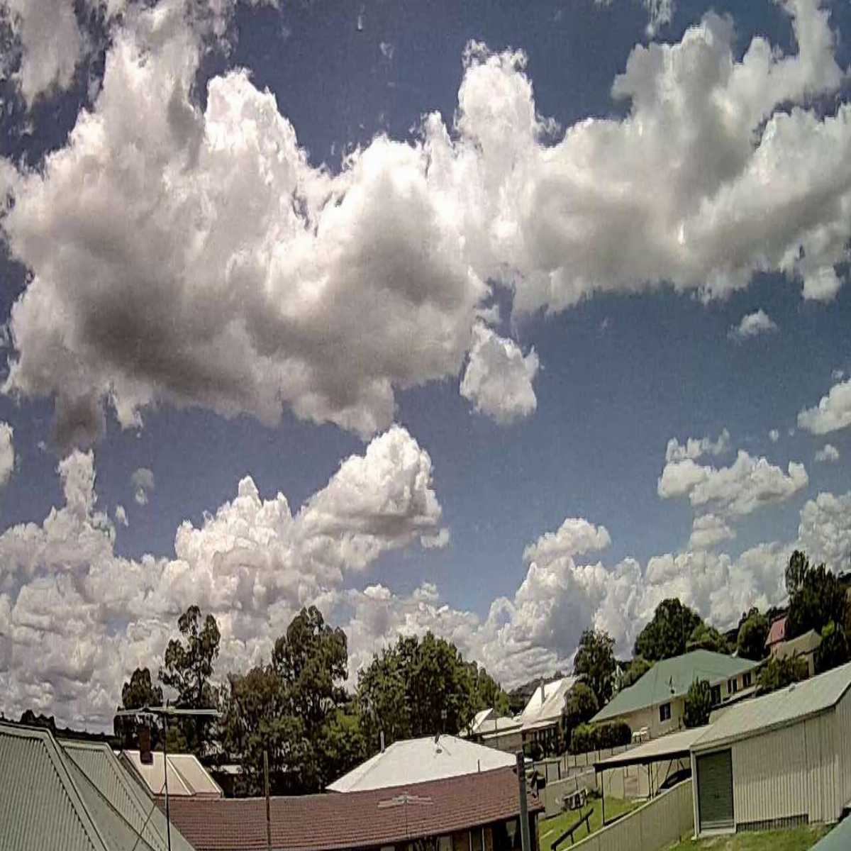 Darlinghurst webcam