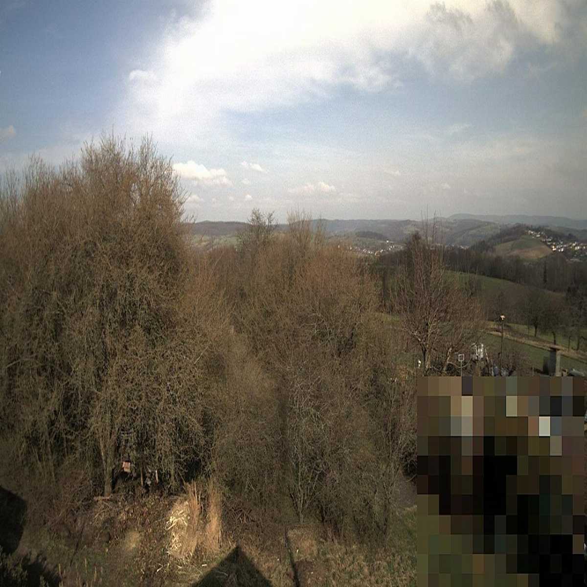 Zachenberg webcam