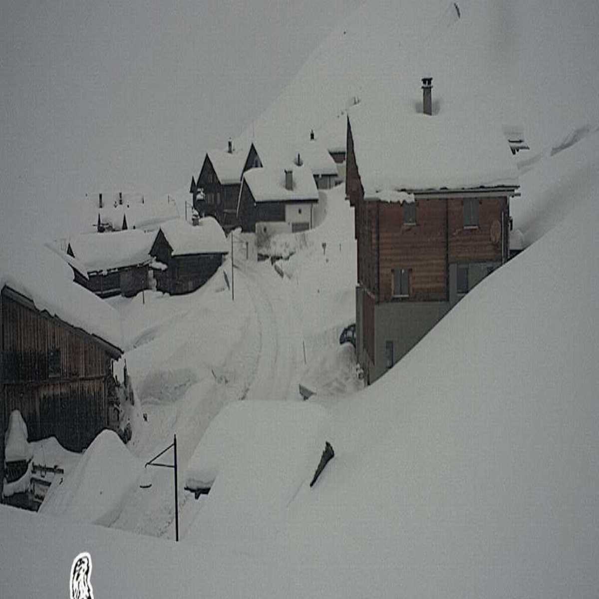 Juf webcam