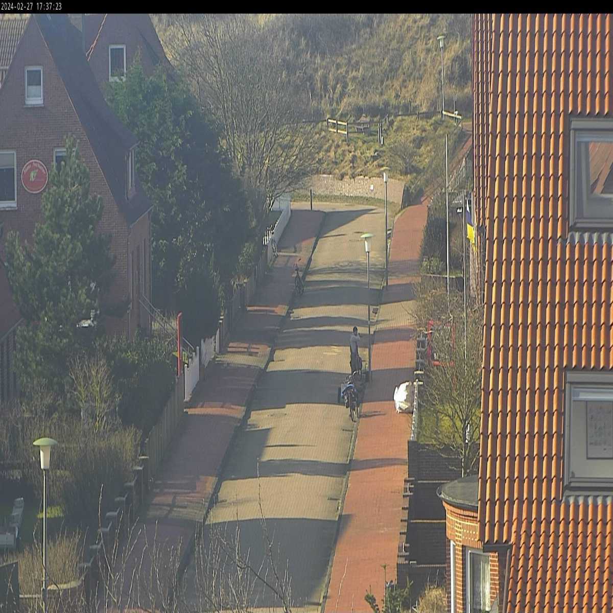 Reppenstedt webcam