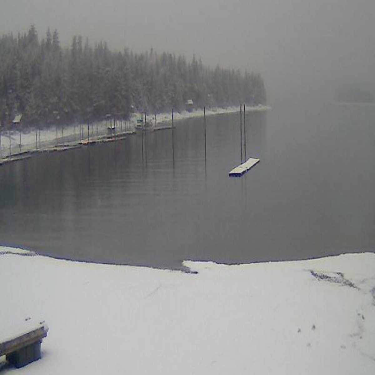 Homer webcam