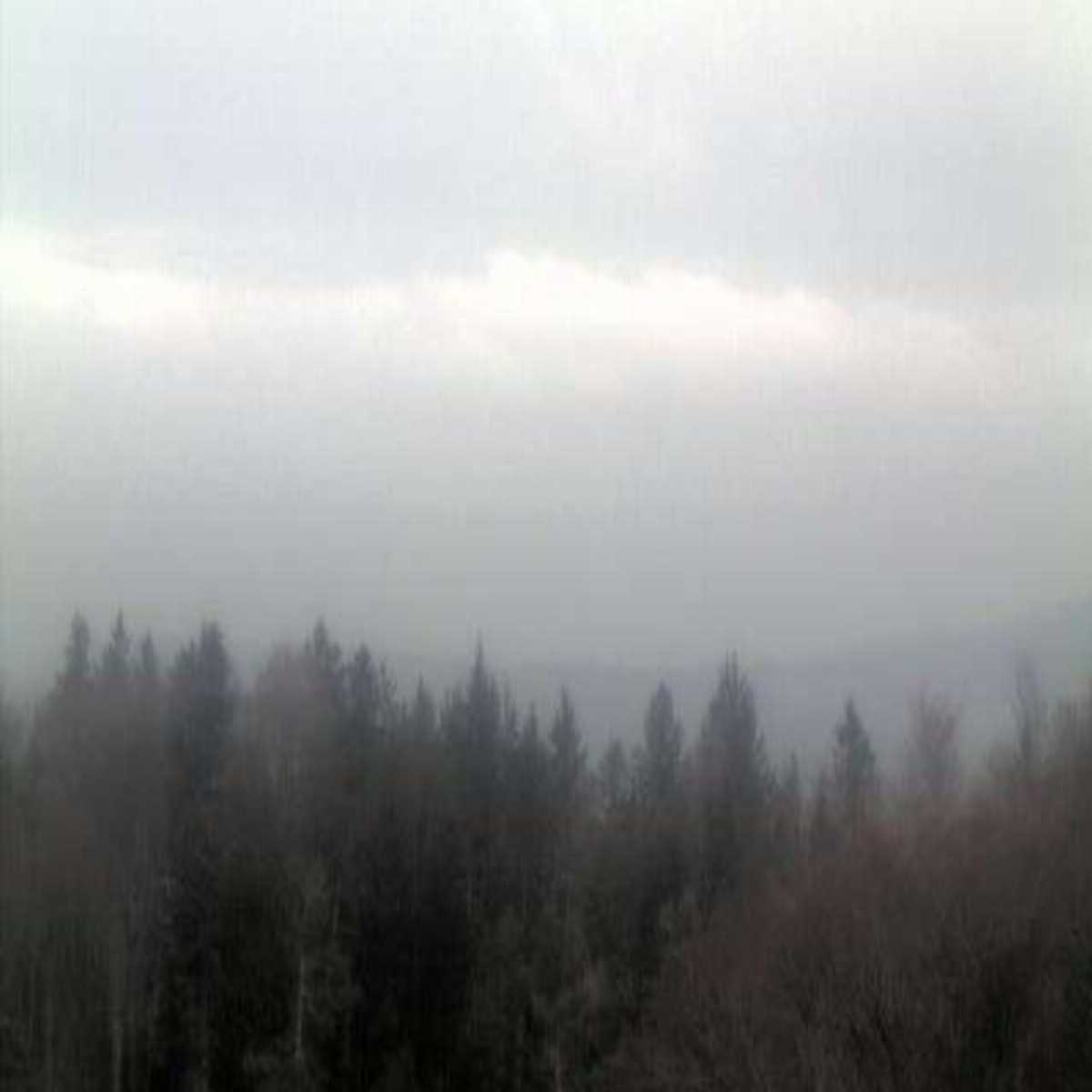 Schallstadt webcam