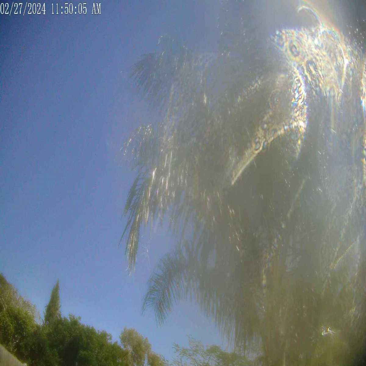 Titusville webcam