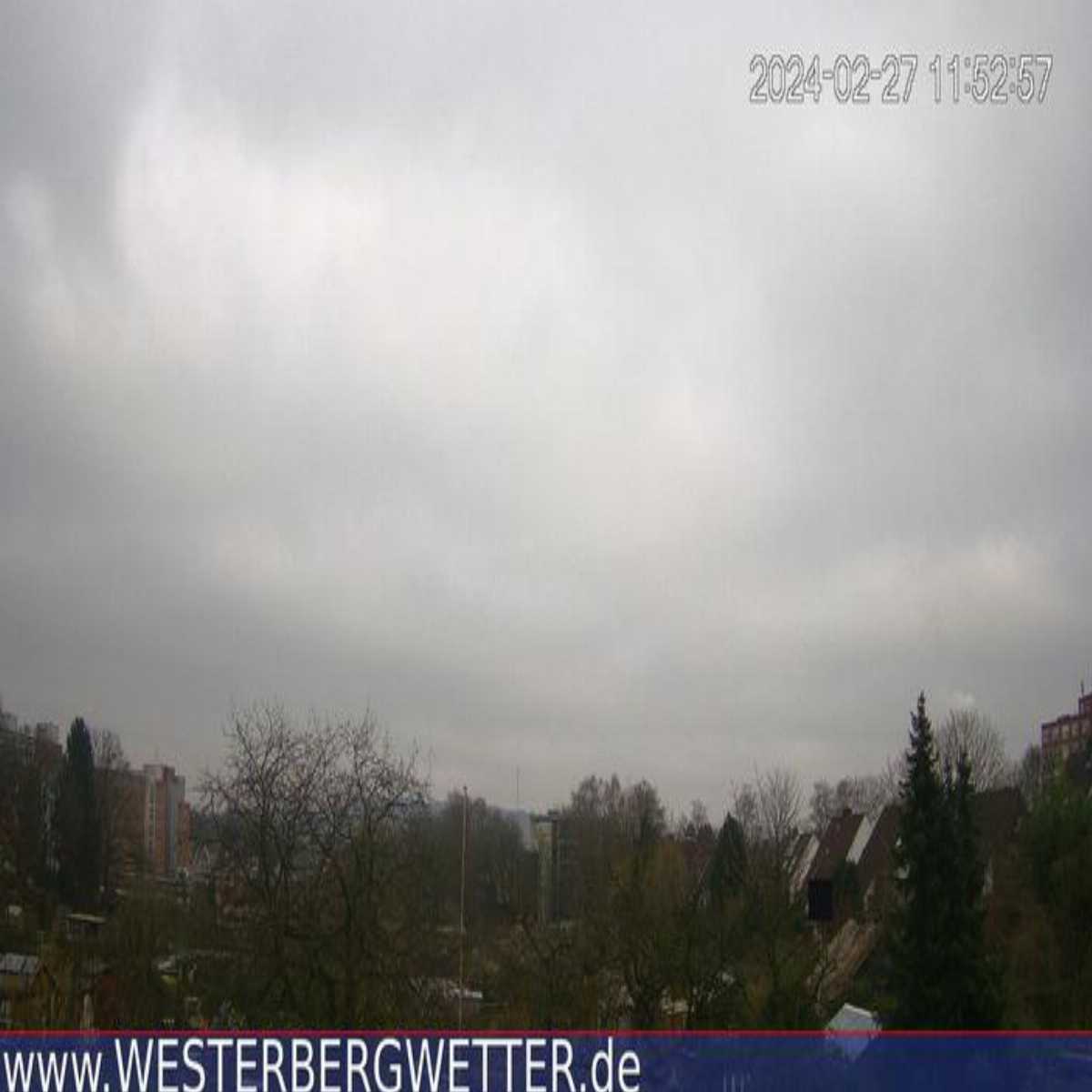 Reppenstedt webcam