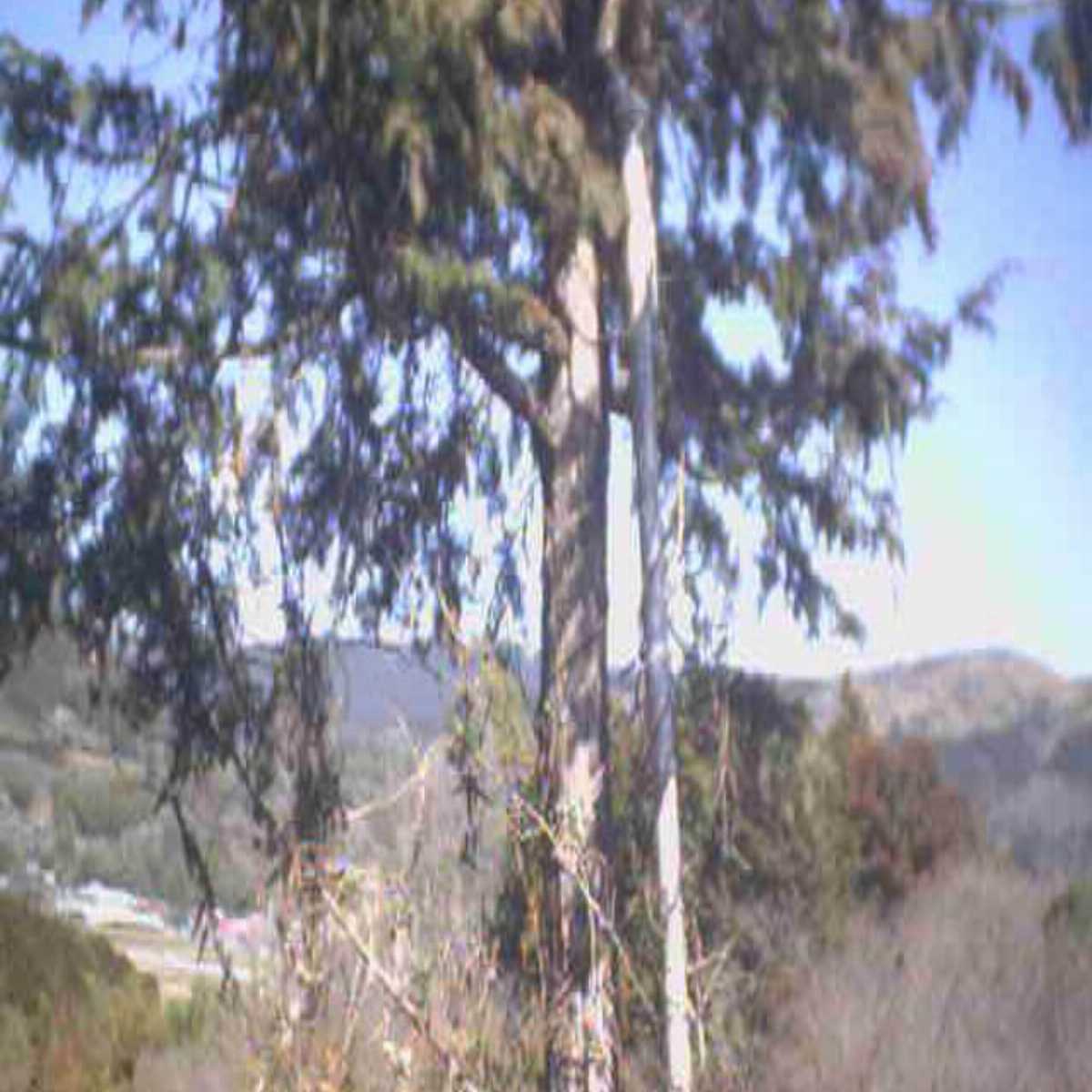 Izunokuni webcam