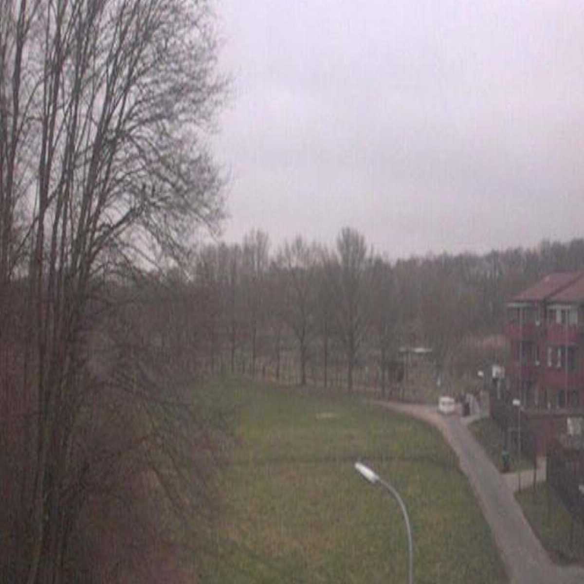 Reppenstedt webcam