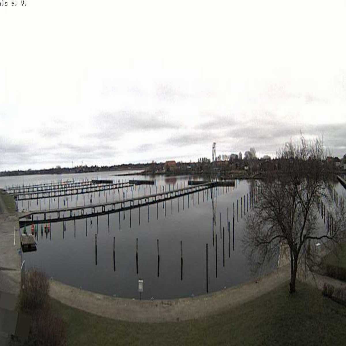 Reinbek webcam