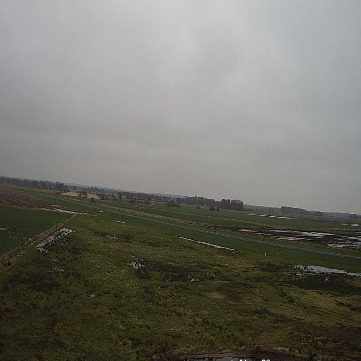 Reppenstedt webcam
