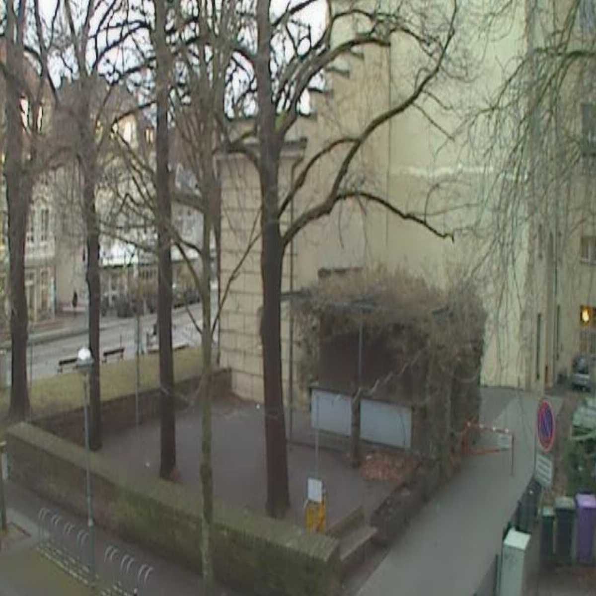 Schallstadt webcam