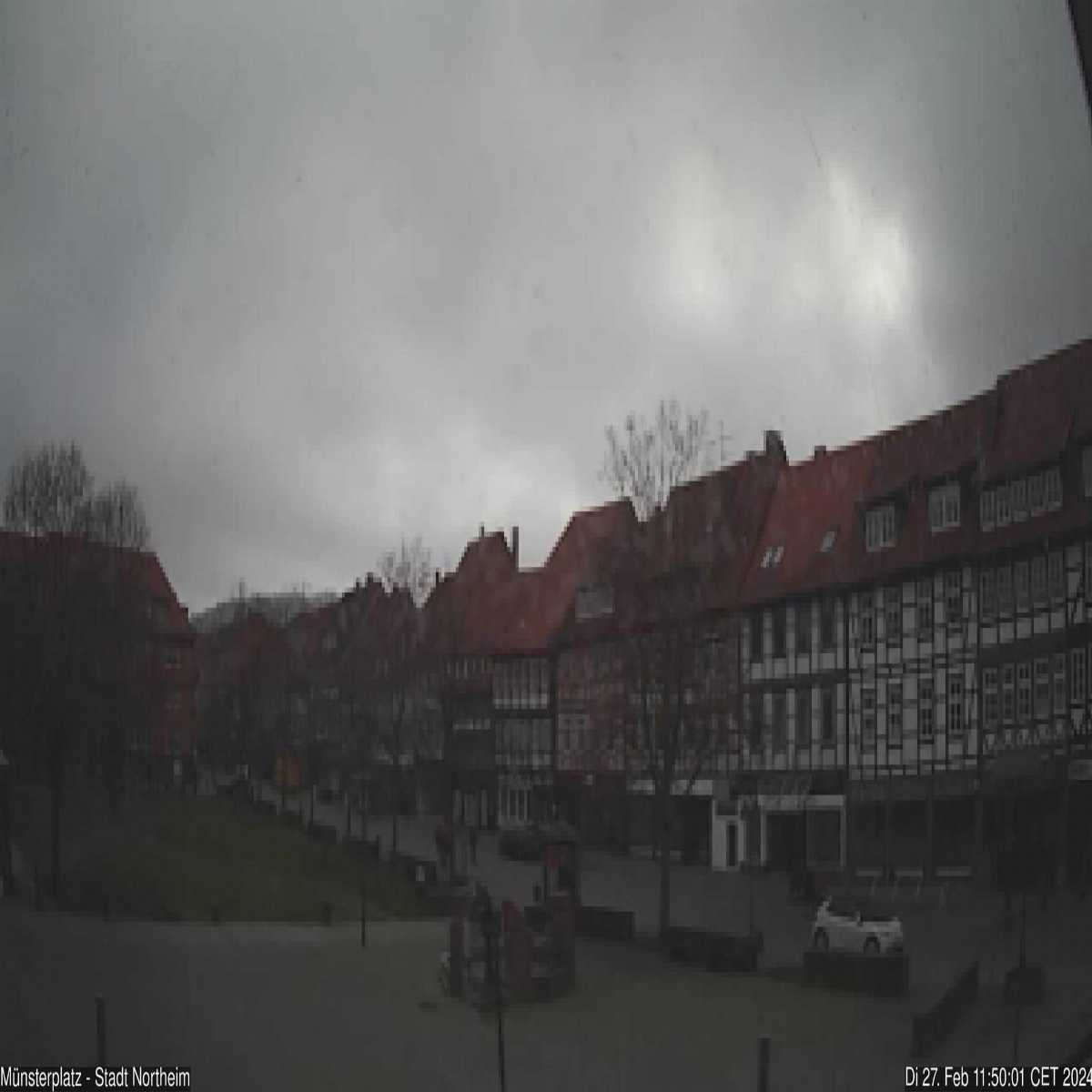 Reppenstedt webcam