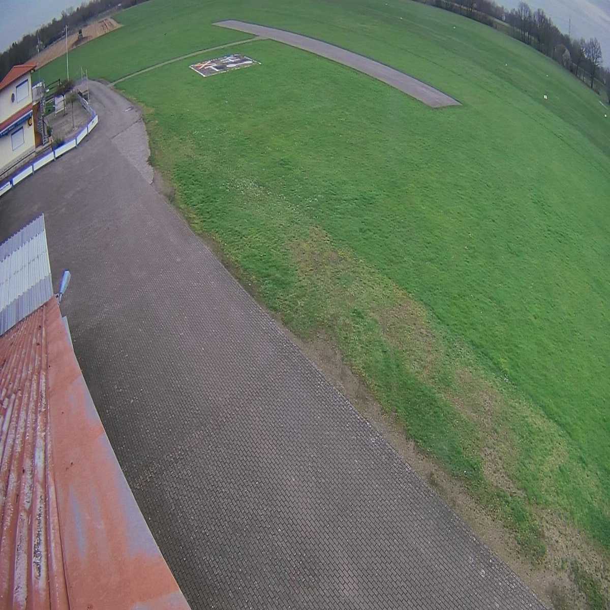 Schallstadt webcam