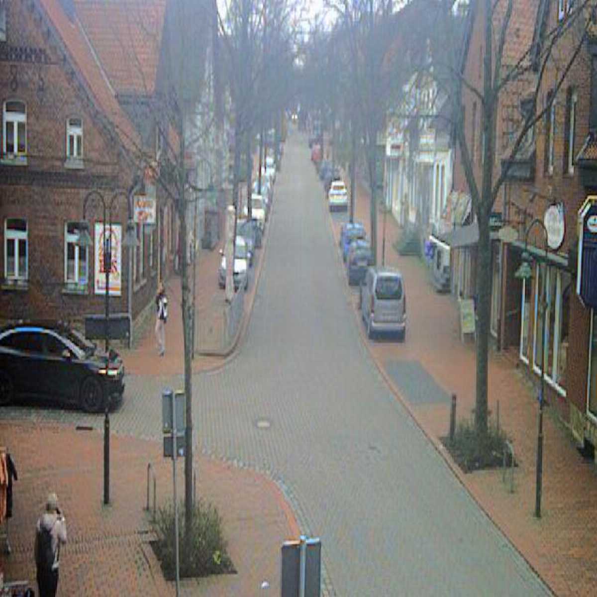 Reppenstedt webcam