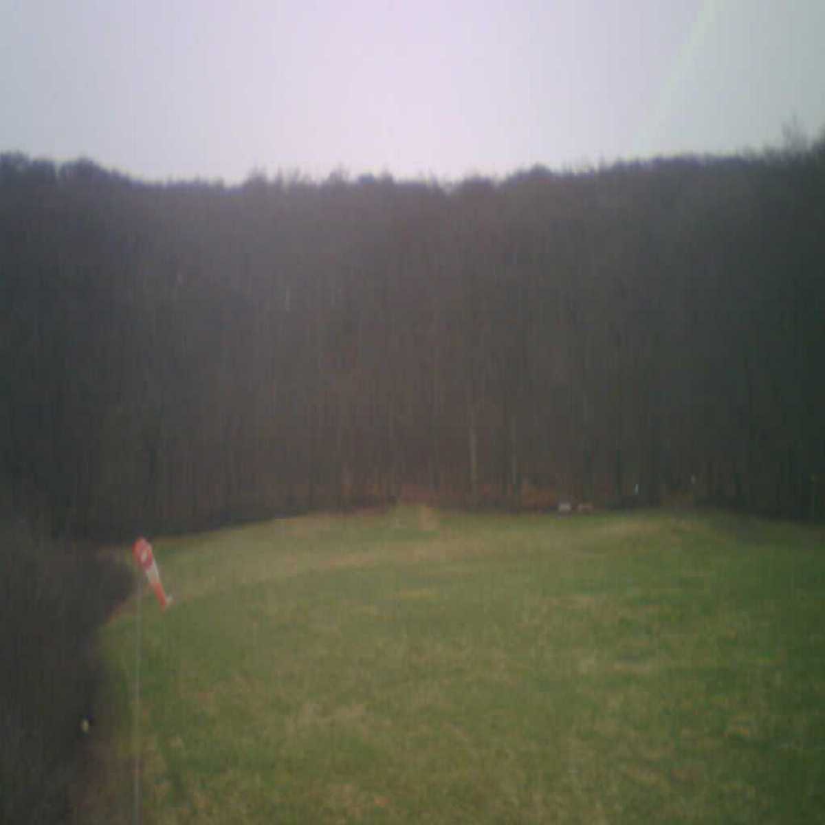 Reppenstedt webcam