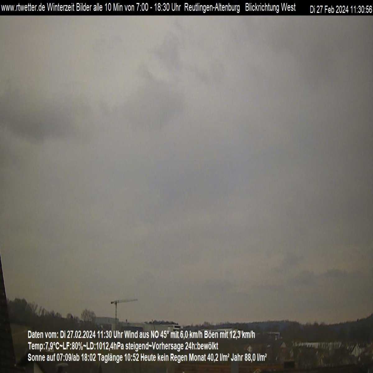 Schallstadt webcam