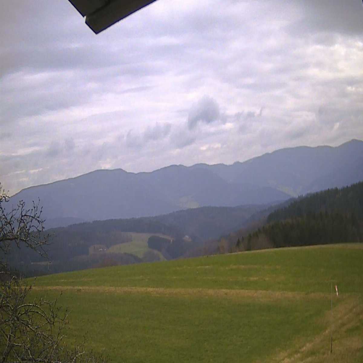 Schallstadt webcam