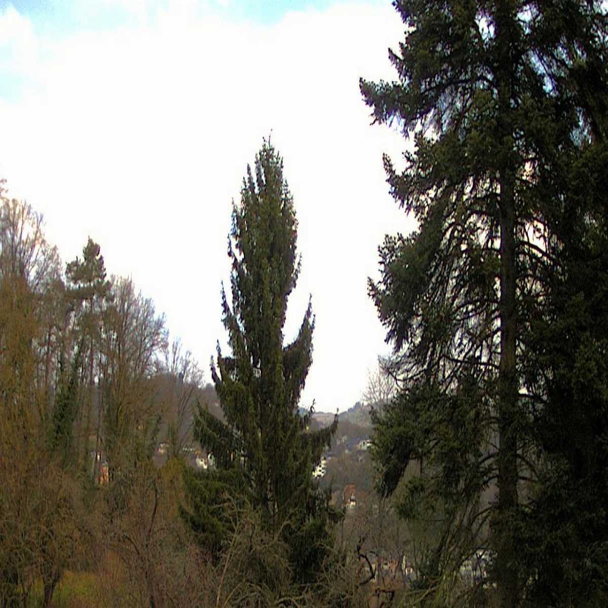 Kottenheim webcam