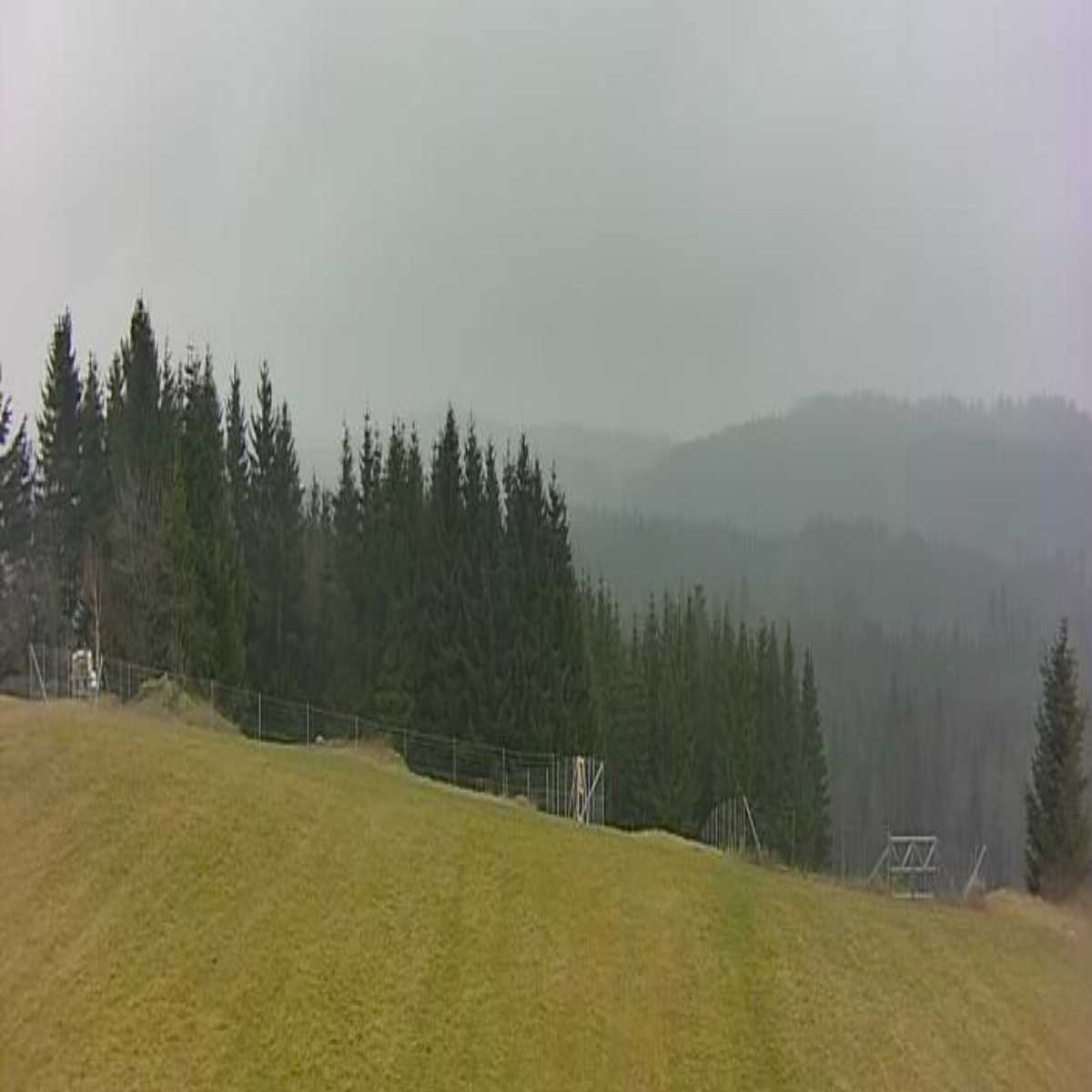 Ertl webcam