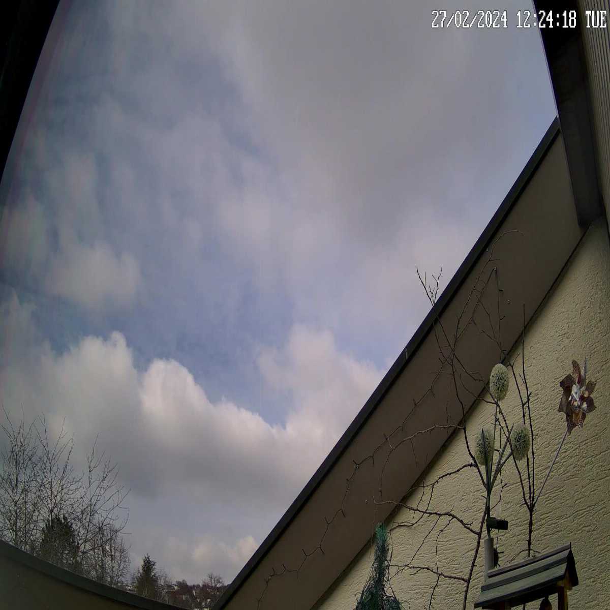 Schallstadt webcam