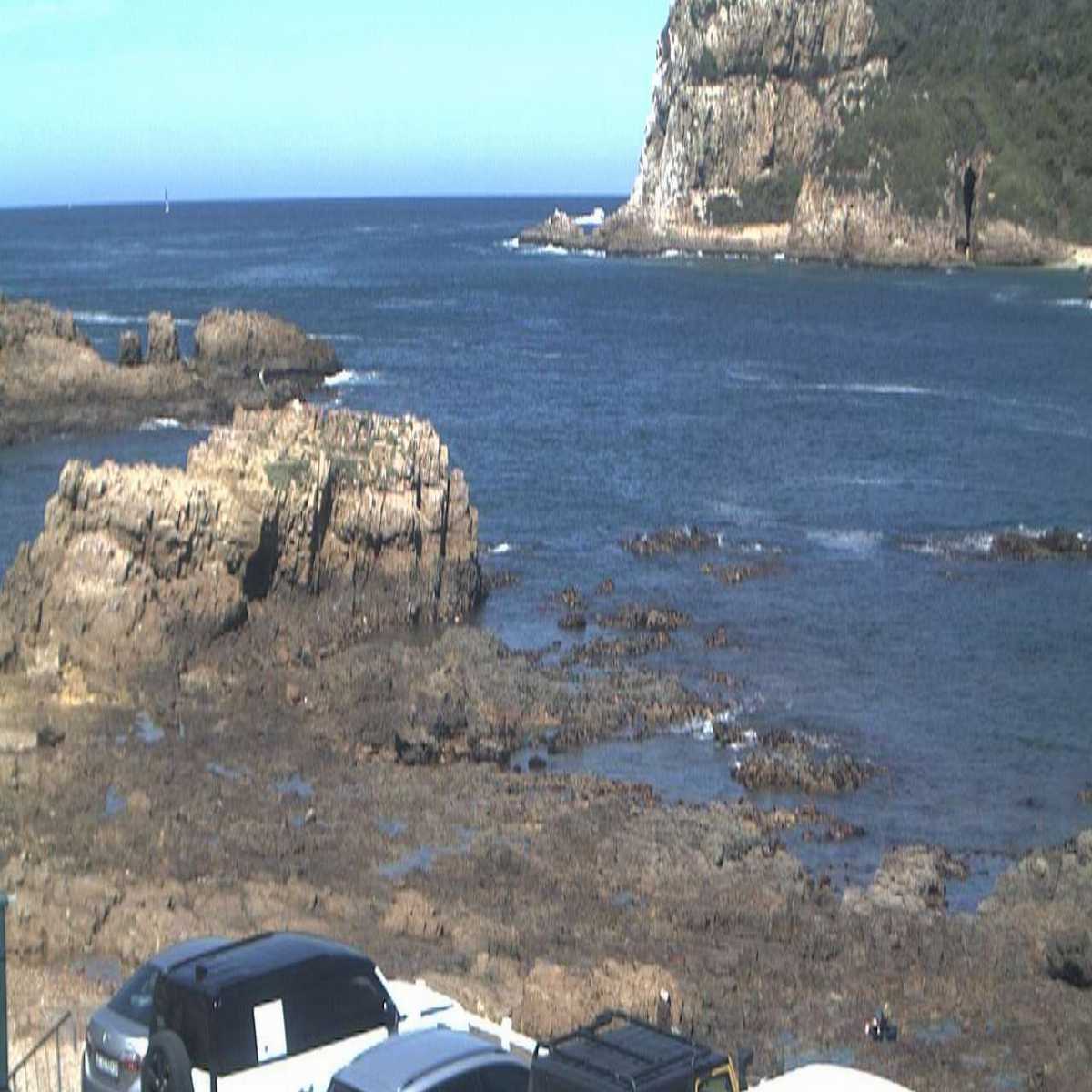 George webcam