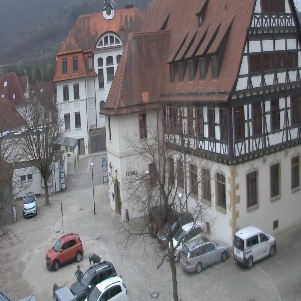 Schallstadt webcam