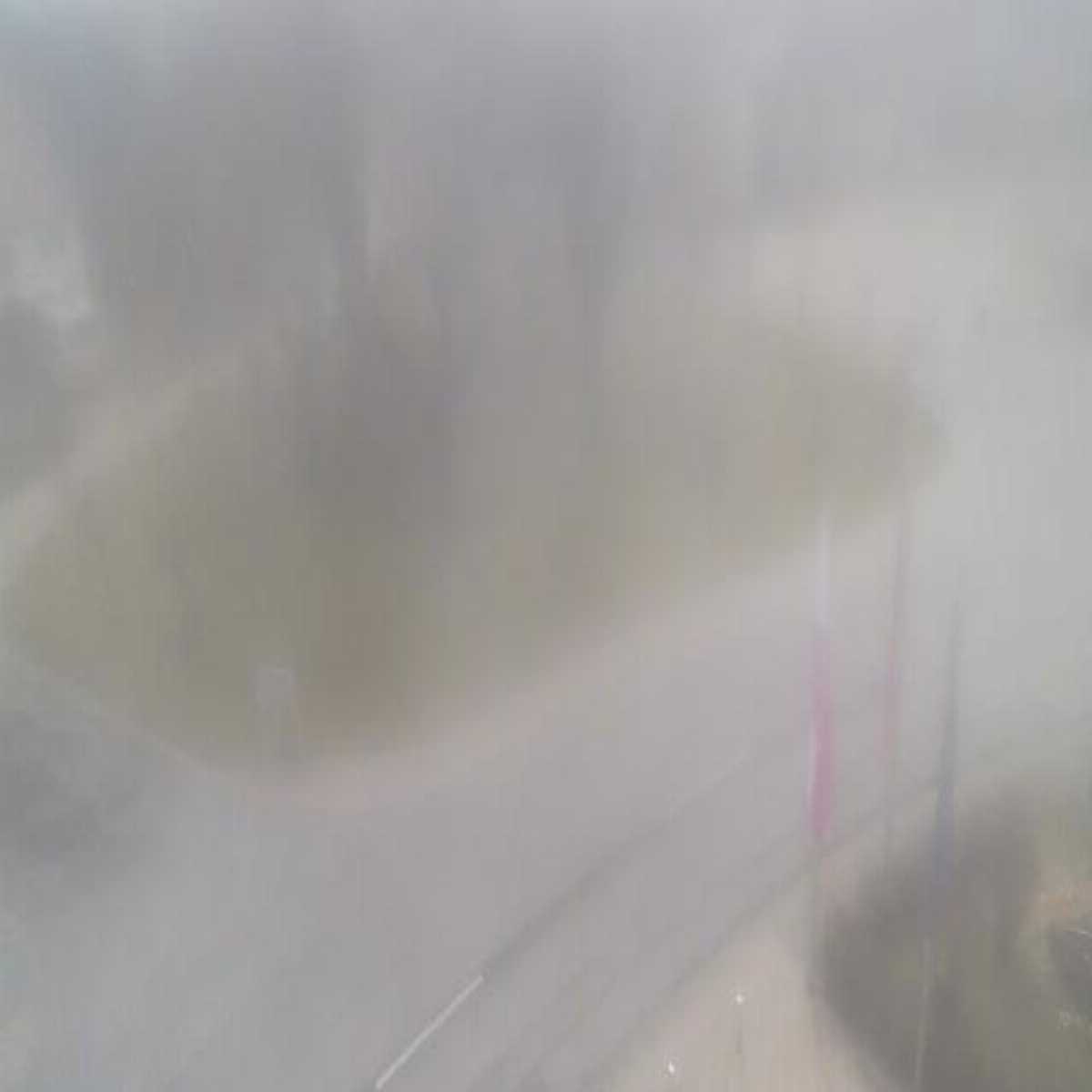 Schallstadt webcam