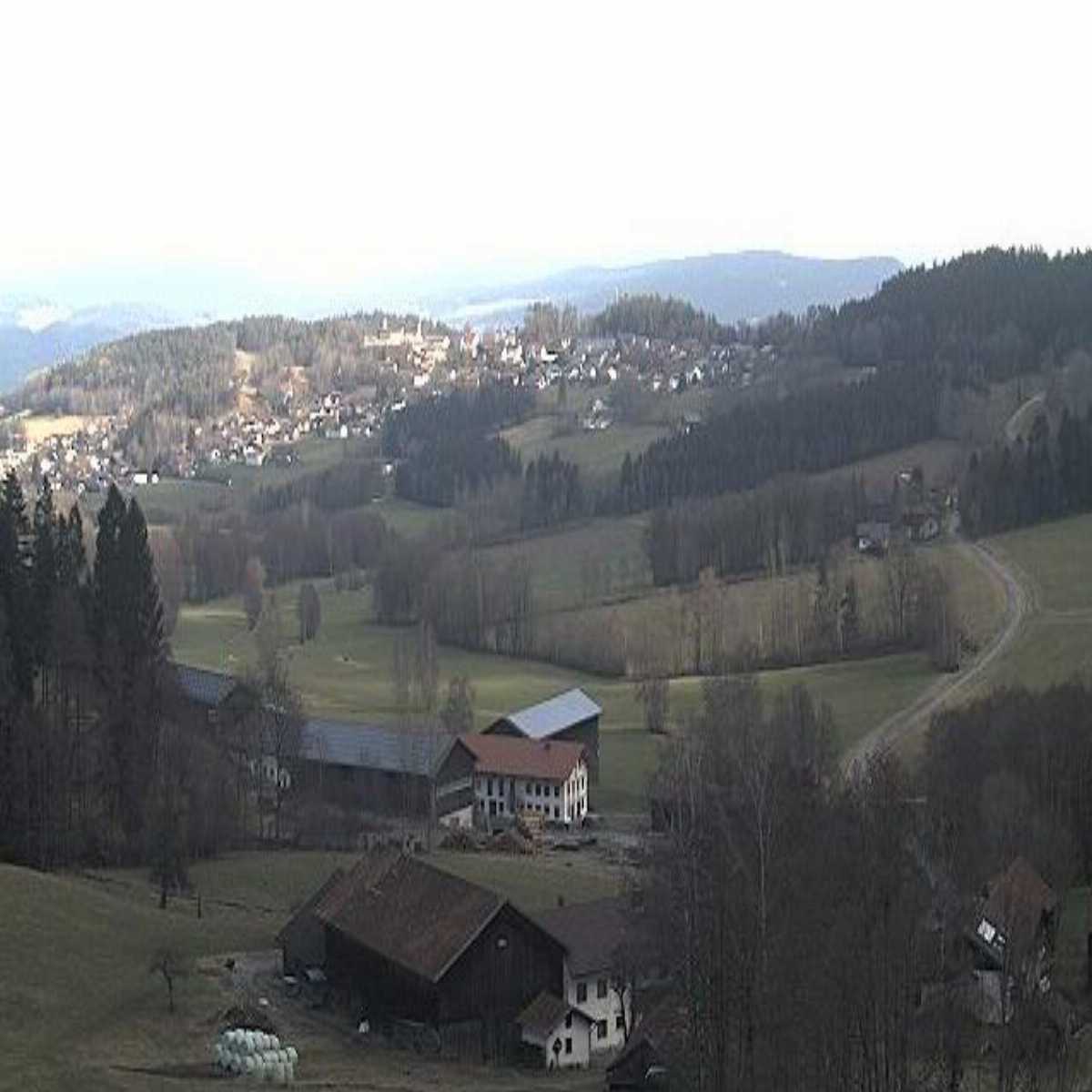 Zachenberg webcam