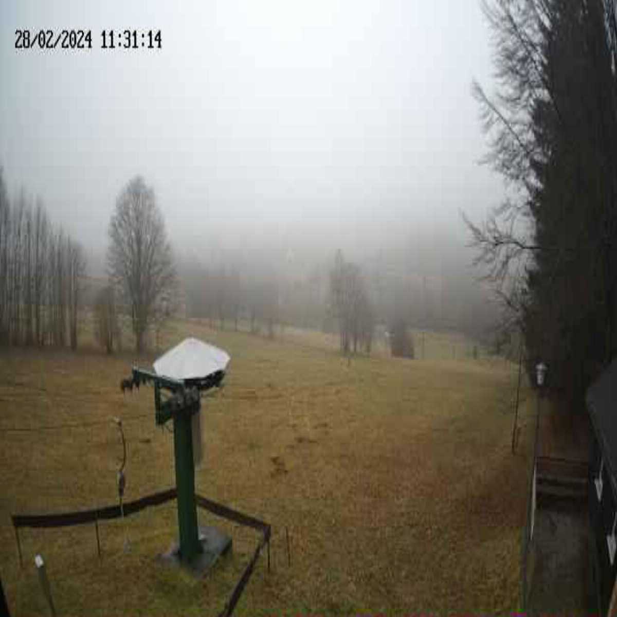 Klingenberg webcam
