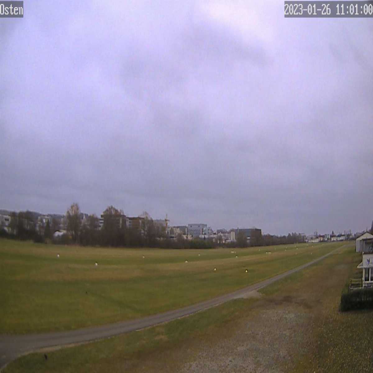 Schallstadt webcam