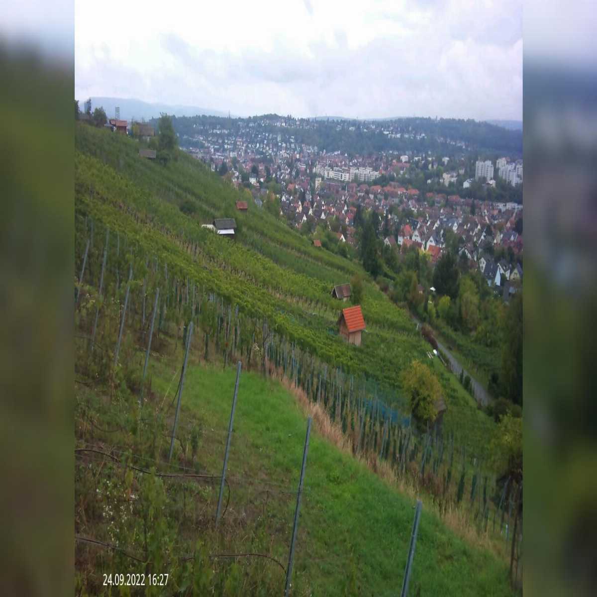 Schallstadt webcam