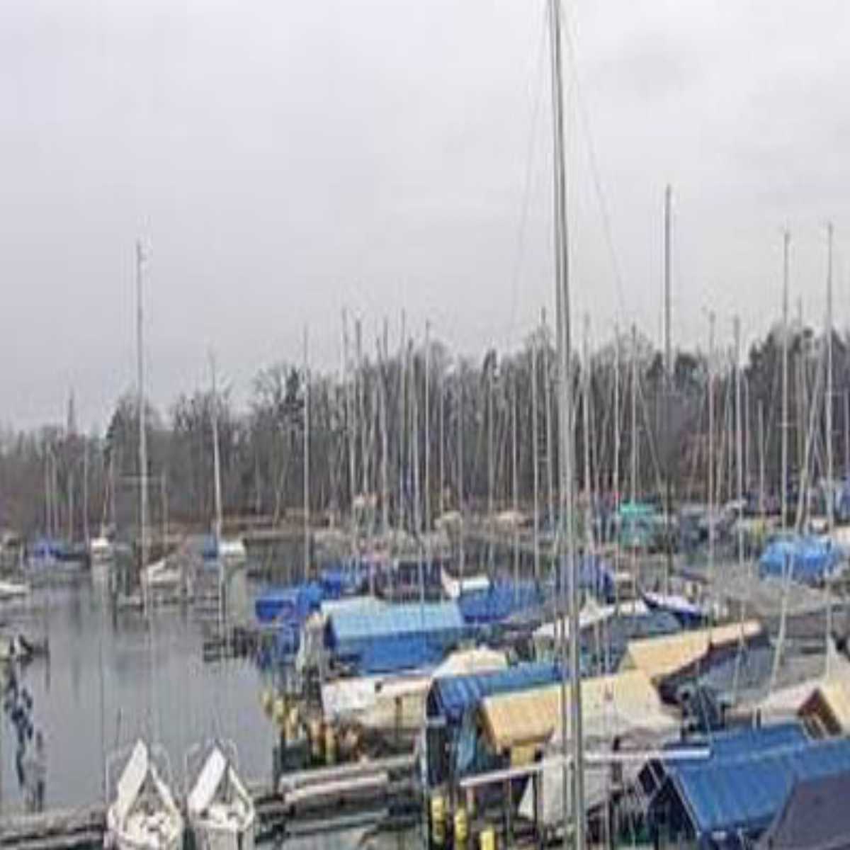 Schallstadt webcam