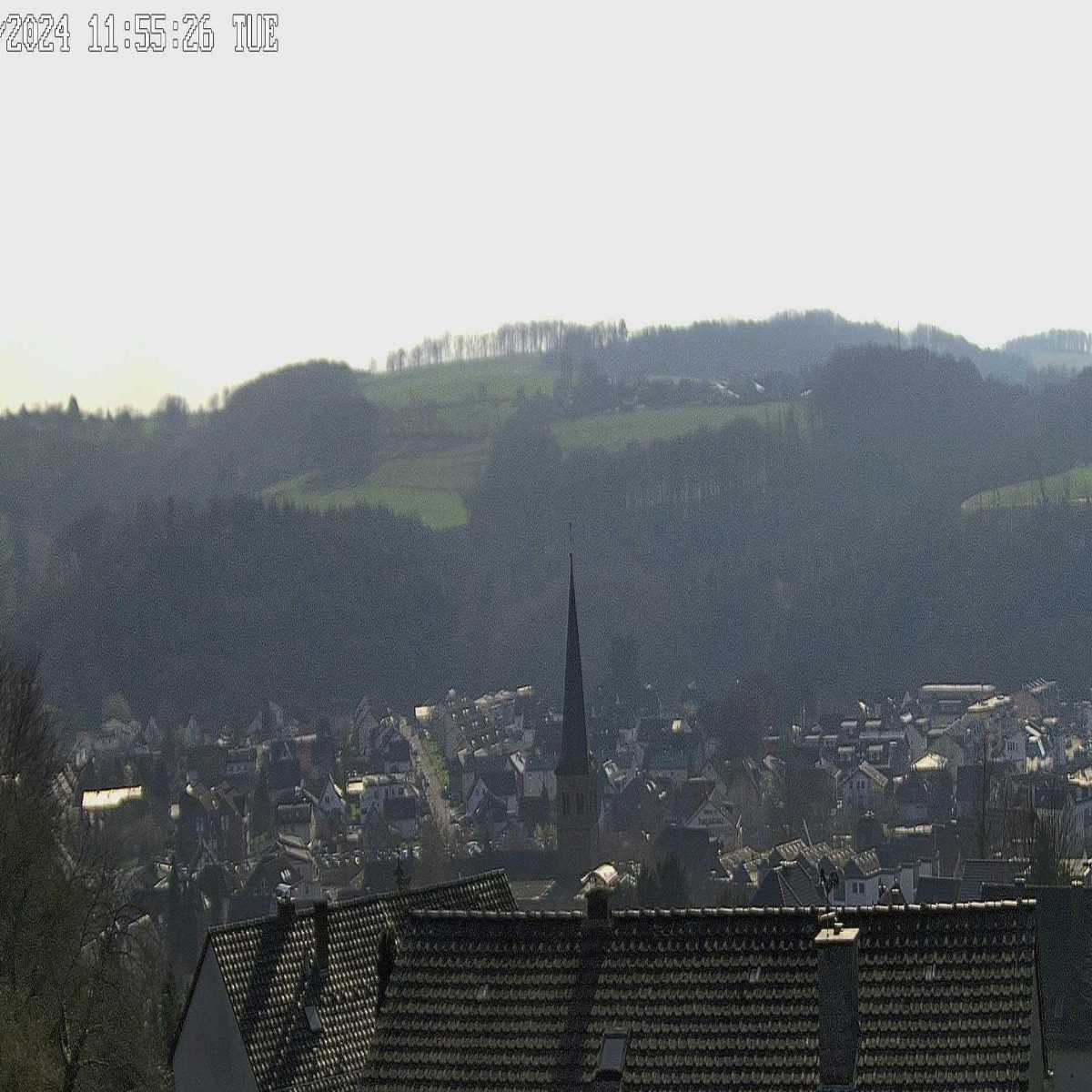 Riesenbeck webcam