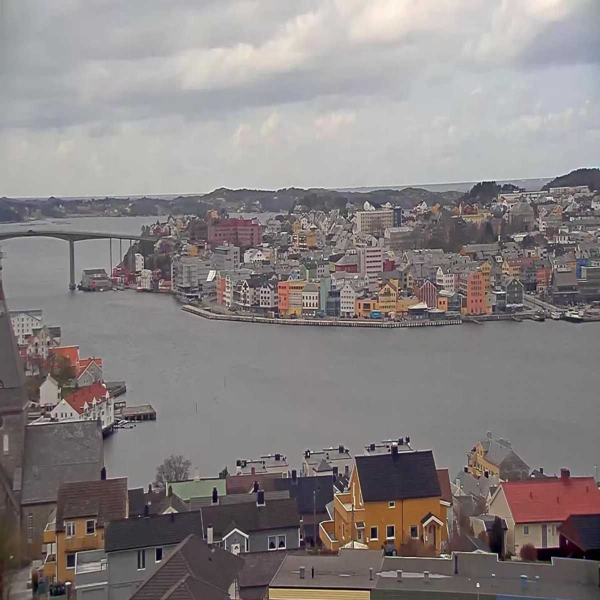 Eidsa webcam